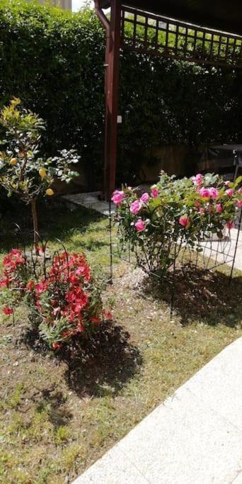 Appartamento Tra Il Borgo E Il Lago Anguillara Sabazia Bagian luar foto